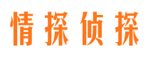 瑞安侦探公司